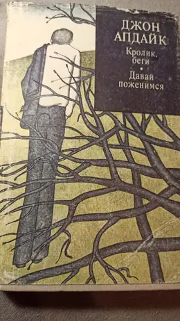 Обложка: Кролик, беги. Давай поженимся
