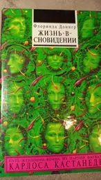 Обложка: Жизнь-в-сновидении. Посвящение в мир магов