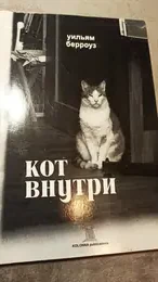 Обложка: Кот внутри
