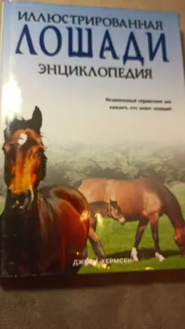 Обложка: Лошади: иллюстрированная энциклопедия