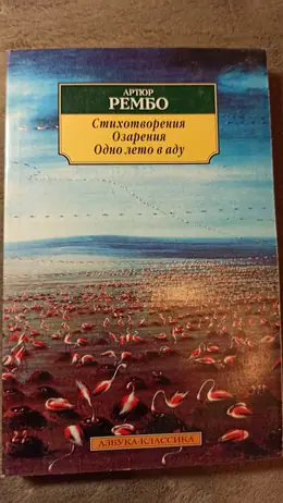 Обложка: Стихотворения. Озарения. Одно лето в аду