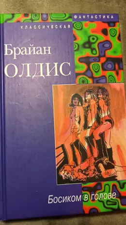 Обложка: Босиком в голове. Доклад о вероятности Эй