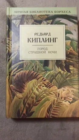 Обложка: Город страшной ночи
