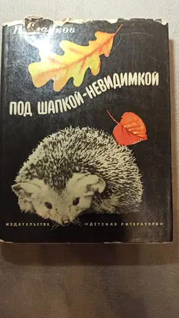 Обложка: Под шапкой-невидимкой