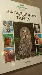 Обложка: Загадочная тайга