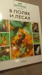Обложка: В полях и лесах