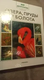 Обложка: Озера, пруды и болота