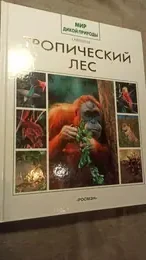 Обложка: Тропический лес