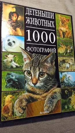 Обложка: Детеныши животных: 1000 фотографий