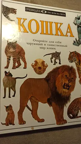 Обложка: Кошка