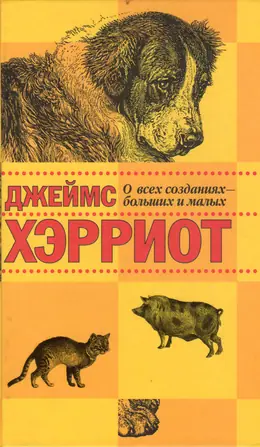 Обложка: О всех созданиях — больших и малых