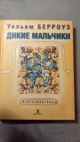 Обложка: Дикие мальчики